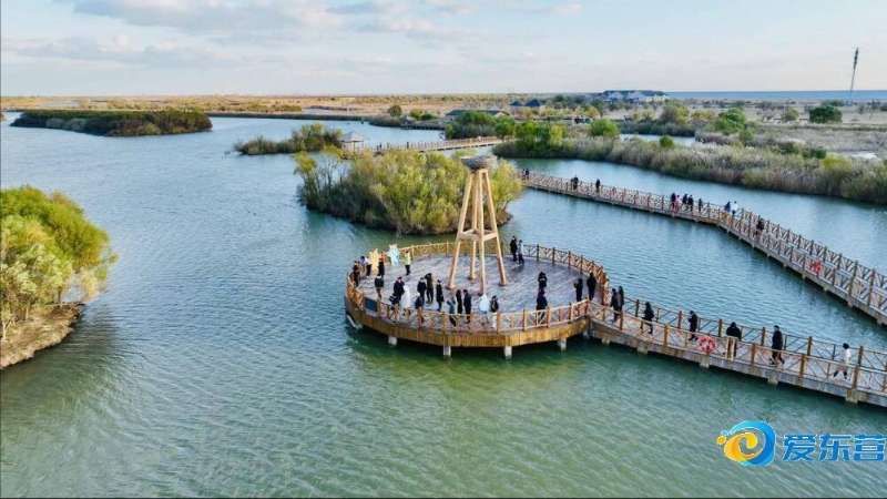 纳乌不仅是 纳乌不仅是