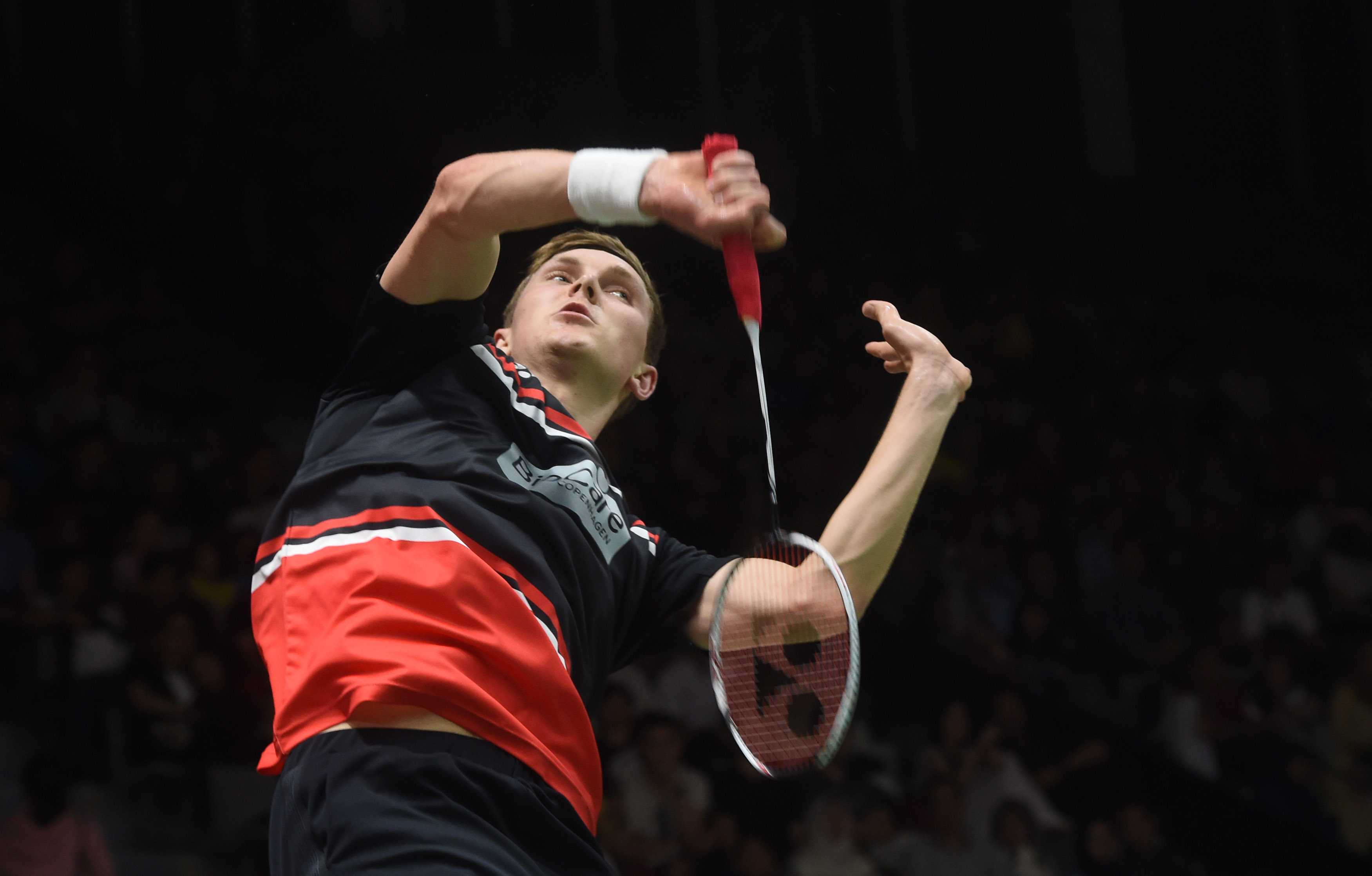 在加入欧洲 在加入欧洲