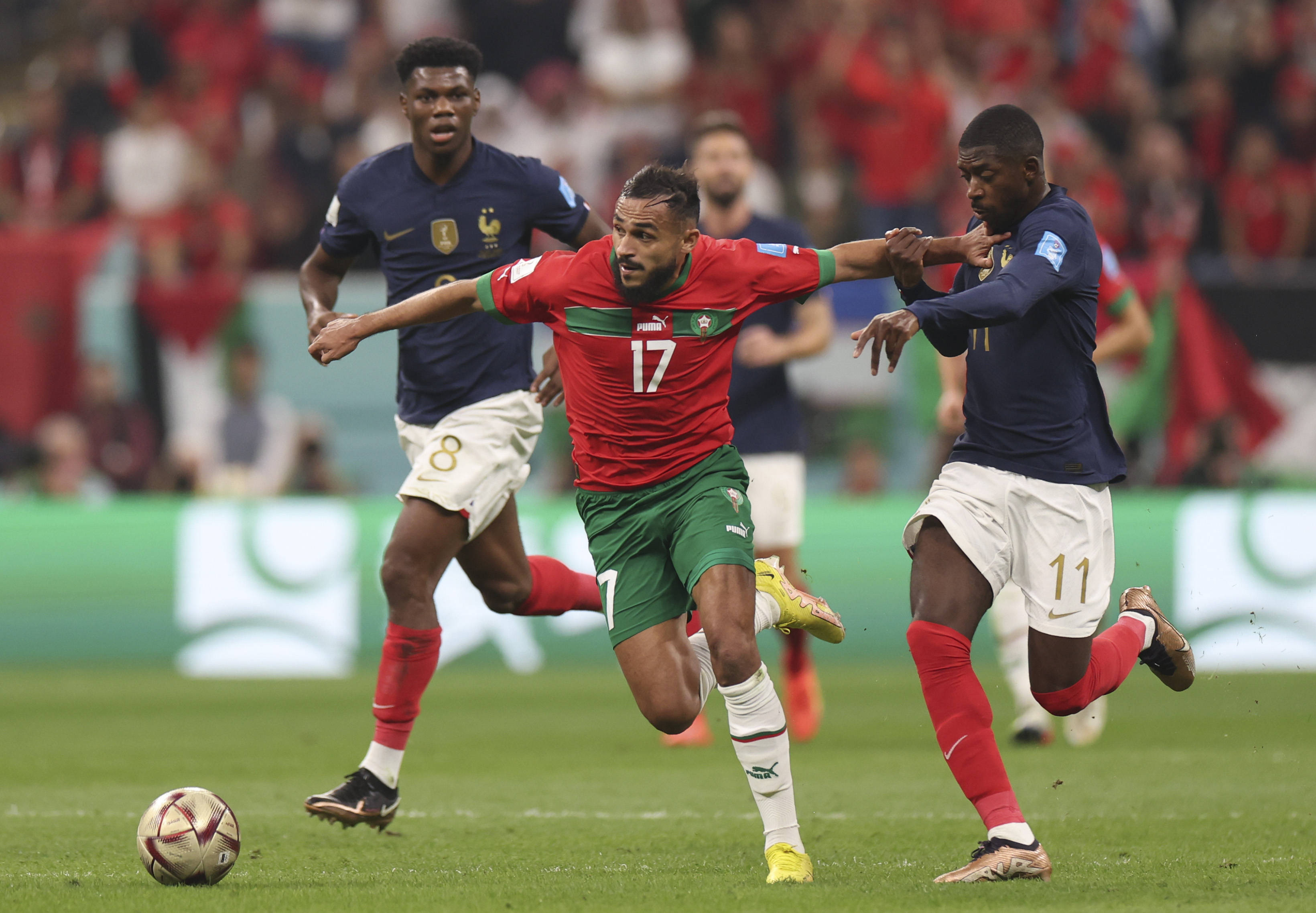 其很可能要 其很可能要