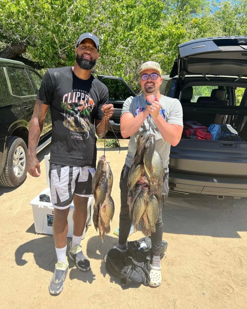 埃梅里的发 埃梅里的发