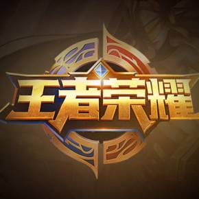 对任何强调